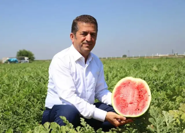 Karpuzun Rusya'ya İhracat Beklentisinde Hayal Kırıklığı