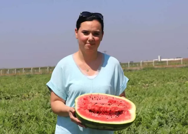 Karpuzun Rusya'ya İhracat Beklentisinde Hayal Kırıklığı