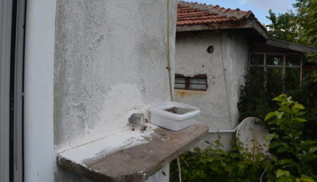 Meraklı Adam, Evin Odasındaki Cam Kovanda Arıların Bal Yapmasını İzliyor