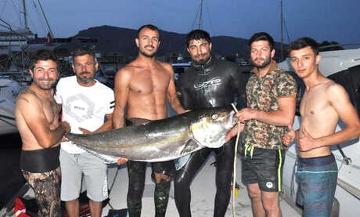Zıpkınla 51 Kiloluk Akya Avladı