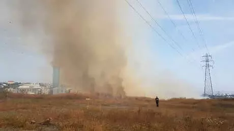 Avcılar'da Buğday Tarlasında Yangın