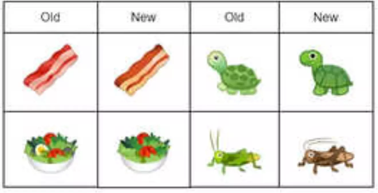 Google Android P Beta 2'de 157 Yeni Emoji Yer Alıyor