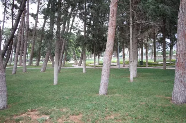 Türkiye'nin 241. Tabiat Parkı İlan Edildi