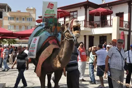 Aydın'da Jeotermale Karşı Develi Protesto