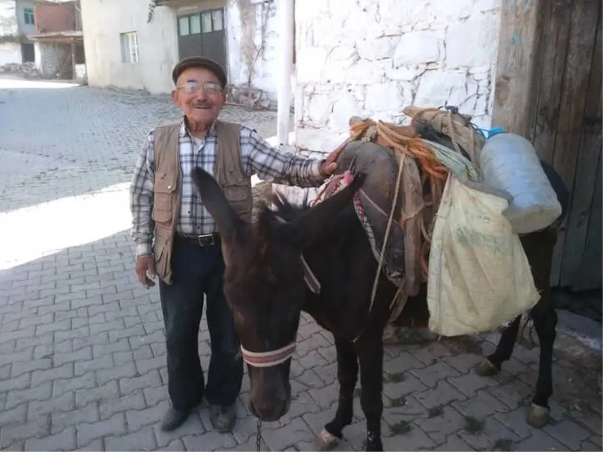 Kiraz Ağacından Düşen Yaşlı Adam Hayatını Kaybetti