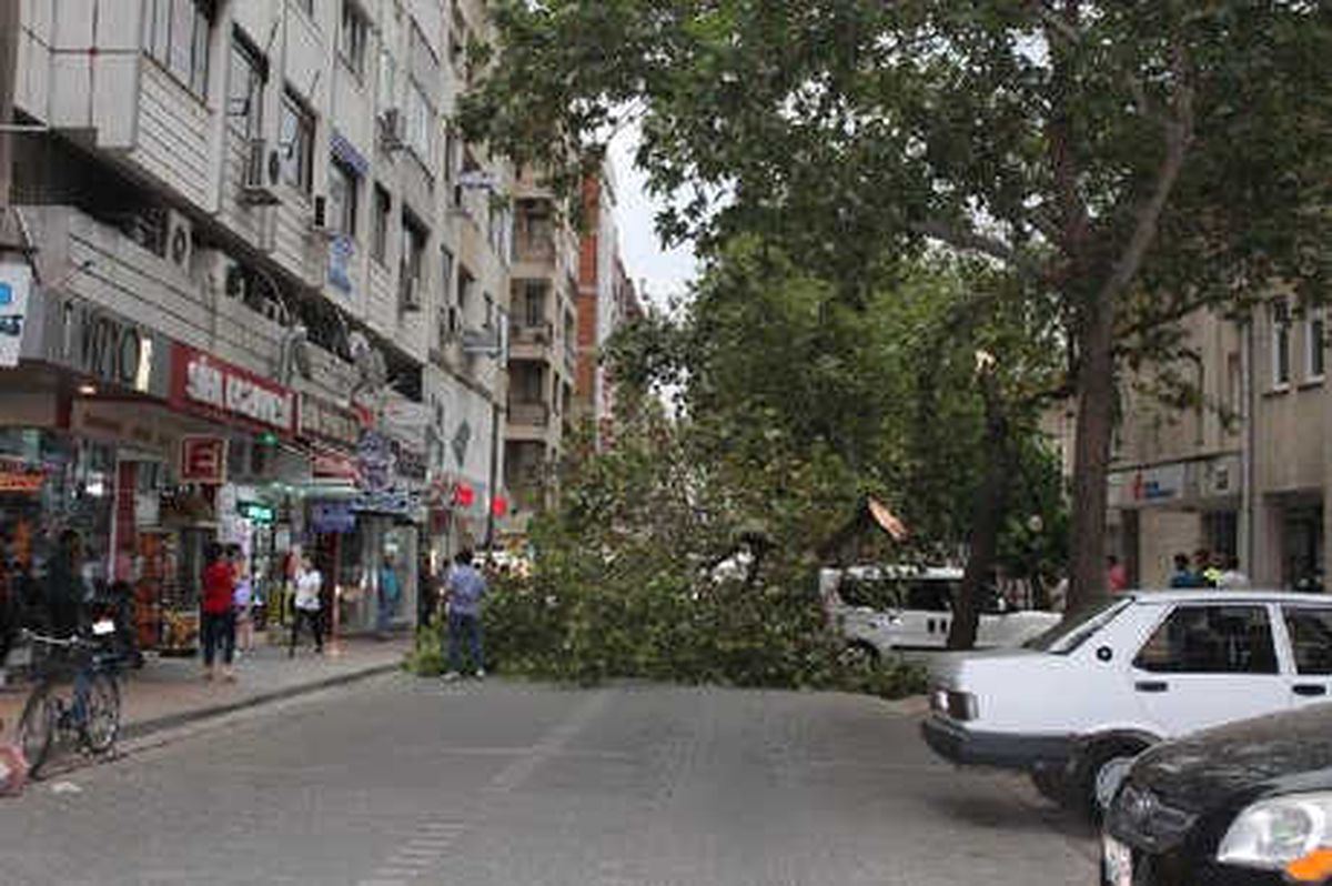 İzmir'deki Şiddetli Rüzgar Pazar Tezgahlarını Yıktı (2)