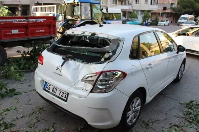 Çürüyen Ağacın Dalı Otomobillerin Üzerine Devrildi