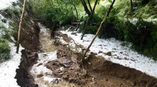 Dolu Yağışı Ekili Alanlara Zarar Verdi