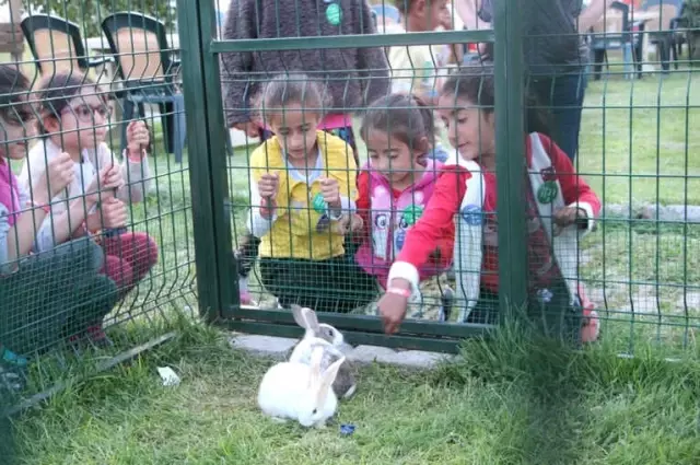Ardahan'da Yetim Çocuklar İçin İftar Programı Düzenlendi