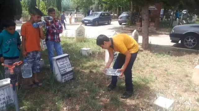Mezarlık Sulayarak Para Kazanıyorlar