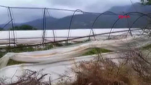 Antalya Demre'de Dolu ve Rüzgar 939 Dönüm Seraya Zarar Verdi - Yeniden Antalya Demre'de Dolu ve Rüzgar 939 Dönüm Seraya Zarar Verdi - Yeniden