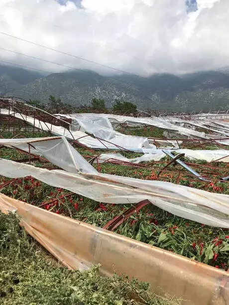 Demre'da Dolu ve Rüzgar 939 Dönüm Seraya Zarar Verdi Demre'da Dolu ve Rüzgar 939 Dönüm Seraya Zarar Verdi