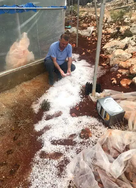 Demre'da Dolu ve Rüzgar 939 Dönüm Seraya Zarar Verdi Demre'da Dolu ve Rüzgar 939 Dönüm Seraya Zarar Verdi