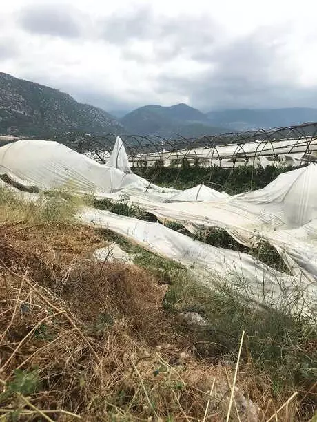 Demre'da Dolu ve Rüzgar 939 Dönüm Seraya Zarar Verdi Demre'da Dolu ve Rüzgar 939 Dönüm Seraya Zarar Verdi
