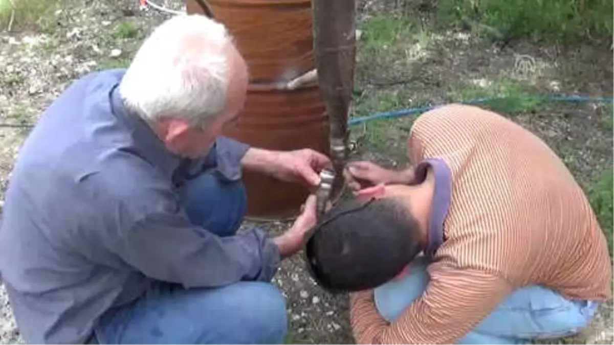 Varilden Yaptığı 'Reaktör' ile Odun Sirkesi ve Kömür Üretiyor