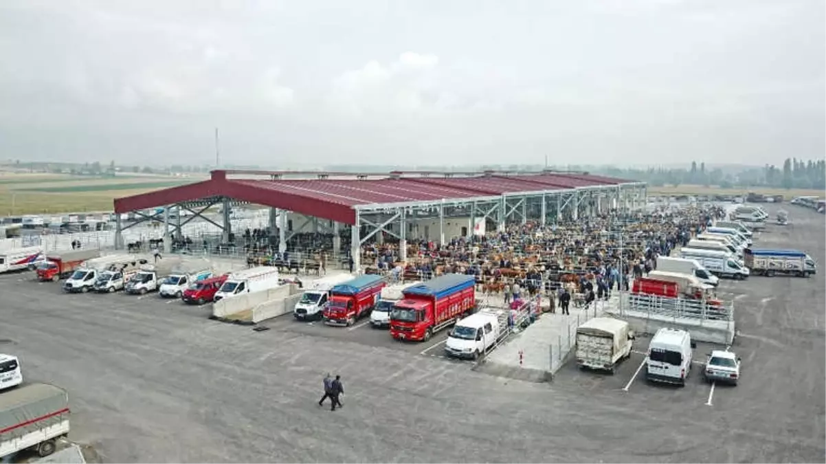 Çorum'da Yapımı Tamamlanan Yeni Hayvan Pazarı Açıldı