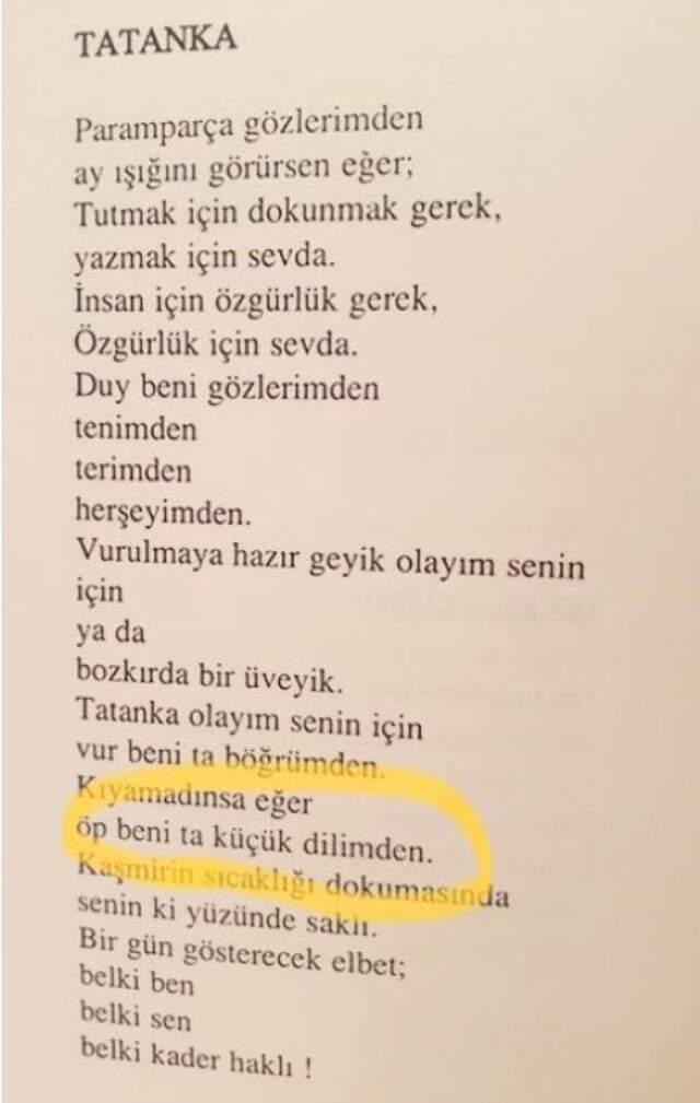 Cumhurbaşkanı, İnce'nin şiir kitabından bahsetti
