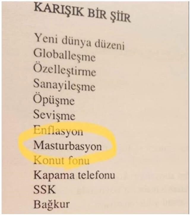 Cumhurbaşkanı, İnce'nin şiir kitabından bahsetti