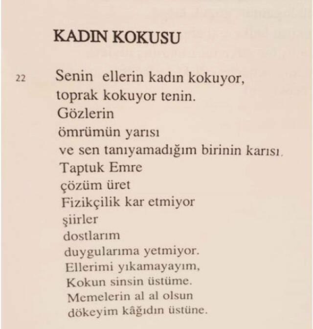 Cumhurbaşkanı, İnce'nin şiir kitabından bahsetti
