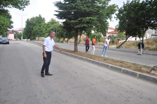 Sağanak Yağmurun Ardınan Biranda Ortaya Çıkan Kurbağalar Mahalleyi İstila Etti