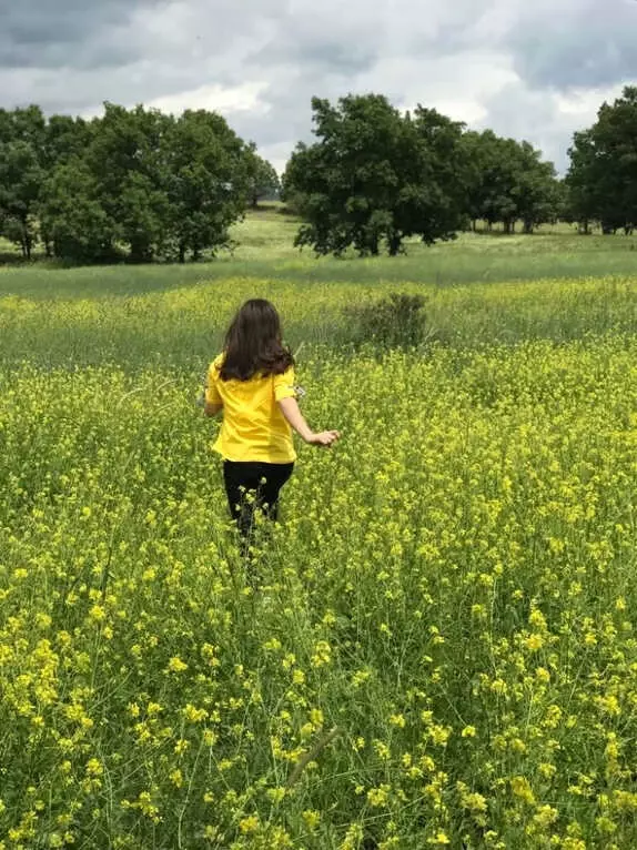 Şiran'a Bahar Yeni Geldi Şiran'a Bahar Yeni Geldi