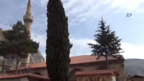 Bu Kuş Evi Tam 339 Yaşında Bu Kuş Evi Tam 339 Yaşında
