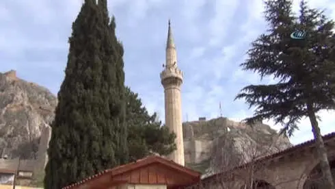 Bu Kuş Evi Tam 339 Yaşında Bu Kuş Evi Tam 339 Yaşında
