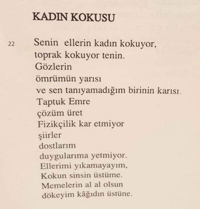 İnce, Şiir Kitabı 'Tatanka' İçin Yapılan Eleştirilere Sert Çıktı: Ben Yazdım, İtirazın mı Var?