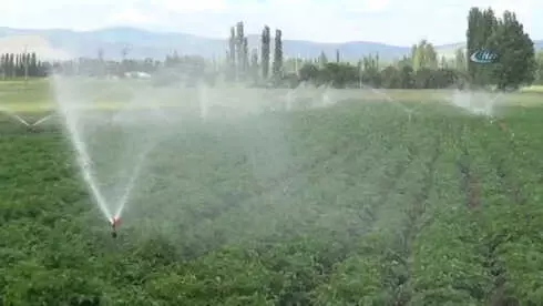Pazarlarda Patatesin Fiyatı 5 Lirayı Aşınca, Gözler Sandıklı Patatesine Çevrildi Pazarlarda Patatesin Fiyatı 5 Lirayı Aşınca, Gözler Sandıklı Patatesine Çevrildi