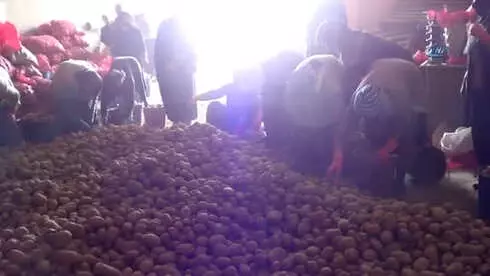 Pazarlarda Patatesin Fiyatı 5 Lirayı Aşınca, Gözler Sandıklı Patatesine Çevrildi Pazarlarda Patatesin Fiyatı 5 Lirayı Aşınca, Gözler Sandıklı Patatesine Çevrildi