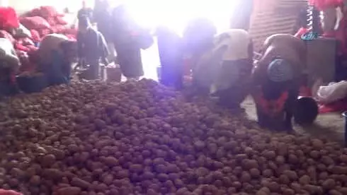 Pazarlarda Patatesin Fiyatı 5 Lirayı Aşınca, Gözler Sandıklı Patatesine Çevrildi Pazarlarda Patatesin Fiyatı 5 Lirayı Aşınca, Gözler Sandıklı Patatesine Çevrildi