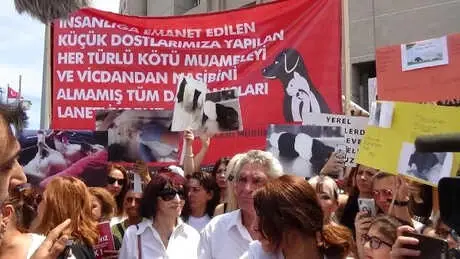 Fotoğraflar // Hayvanseverlerden Adliye Önünde Sapanca İsyanı Fotoğraflar // Hayvanseverlerden Adliye Önünde Sapanca İsyanı