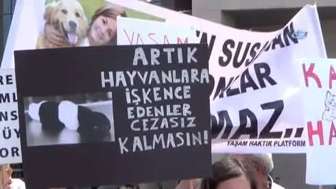 Hayvanseverlerden Sapanca'daki Vahşete Suç Duyurusu Hayvanseverlerden Sapanca'daki Vahşete Suç Duyurusu