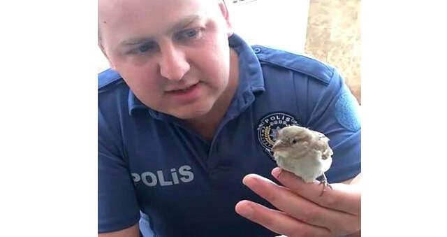 Polis Memuru Duvara Çarpıp Düşen Serçeyi Kalp Masajı İle Hayata Döndürdü