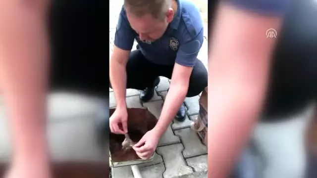 Polis Memurundan Serçeye &quot;Hayata Döndüren Dokunuş&quot; Haberler
