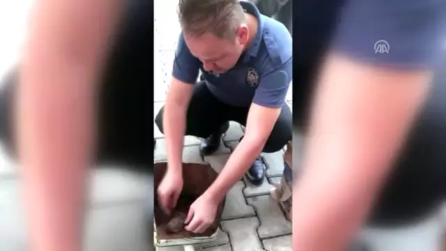 Polis Memurundan Serçeye &quot;Hayata Döndüren Dokunuş&quot; Haberler