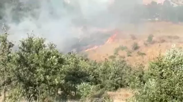 Kahramanmaraş'ta Yangın Kahramanmaraş'ta Yangın