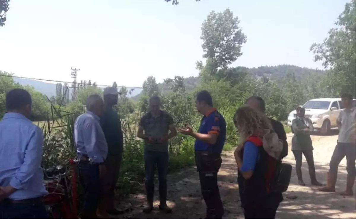 Osmaneli'nde Dolu Yağışı Tarımsal Alanda Zarara Yol Açtı