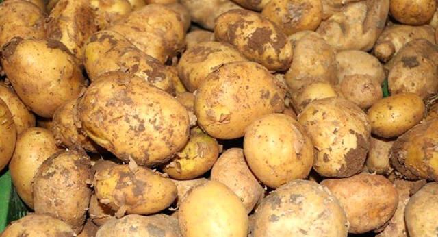 Bakan Fakıbaba'dan Patates Çıkışı: 50 Kuruşluk Ürünü 6 TL'ye Yedirenden Hesap Soracağız