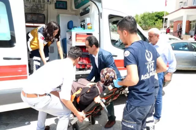 83 Yaşında Sedye Üzerinde Oy Kullandı