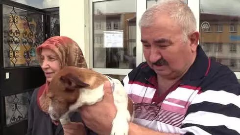 Oy Kullanmaya Evcil Hayvanlarıyla Gittiler - Bilecik/tekirdağ Oy Kullanmaya Evcil Hayvanlarıyla Gittiler - Bilecik/tekirdağ