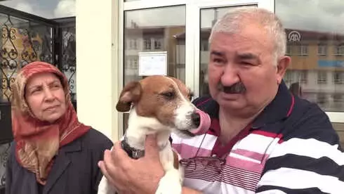 Oy Kullanmaya Evcil Hayvanlarıyla Gittiler - Bilecik/tekirdağ Oy Kullanmaya Evcil Hayvanlarıyla Gittiler - Bilecik/tekirdağ