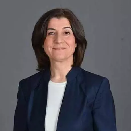 Edirne'de CHP 2, AK Parti 1, İyi Parti 1 Milletvekili Çıkardı