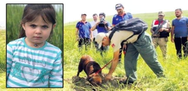 Kaybolan Minik Leyla'yı Arama Çalışmalarına Kadavra ve Ceset Arama Köpekleri de Katıldı