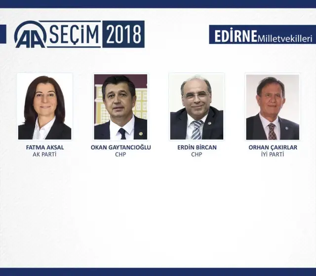 Milletvekili Genel Seçimi Milletvekili Genel Seçimi