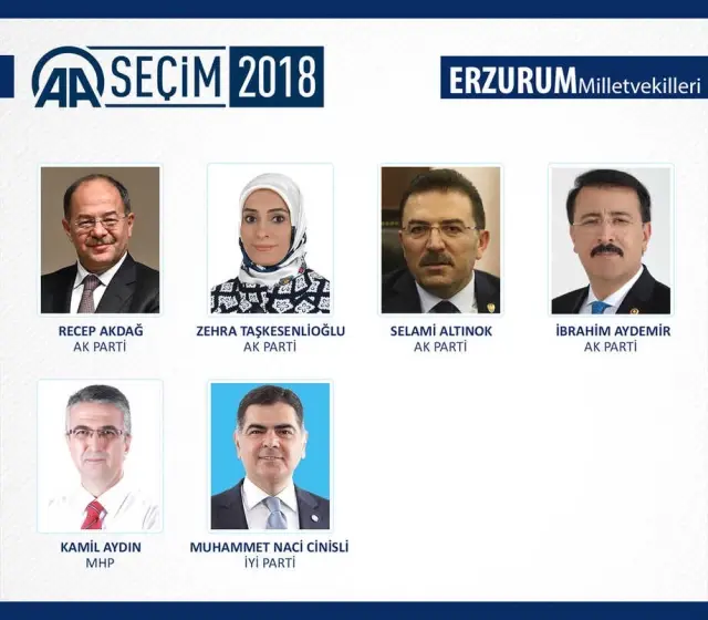 Milletvekili Genel Seçimi Milletvekili Genel Seçimi