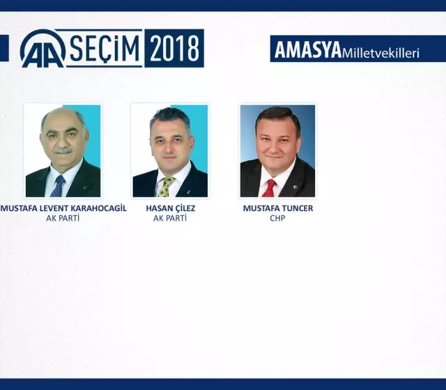 Milletvekili Genel Seçimi Milletvekili Genel Seçimi