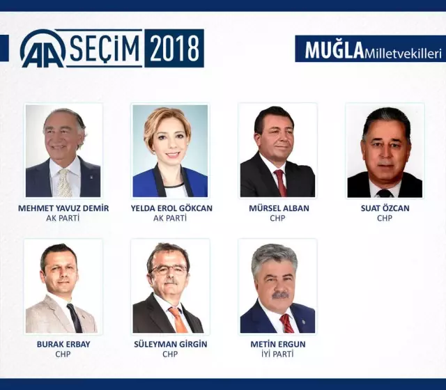 Milletvekili Genel Seçimi Milletvekili Genel Seçimi