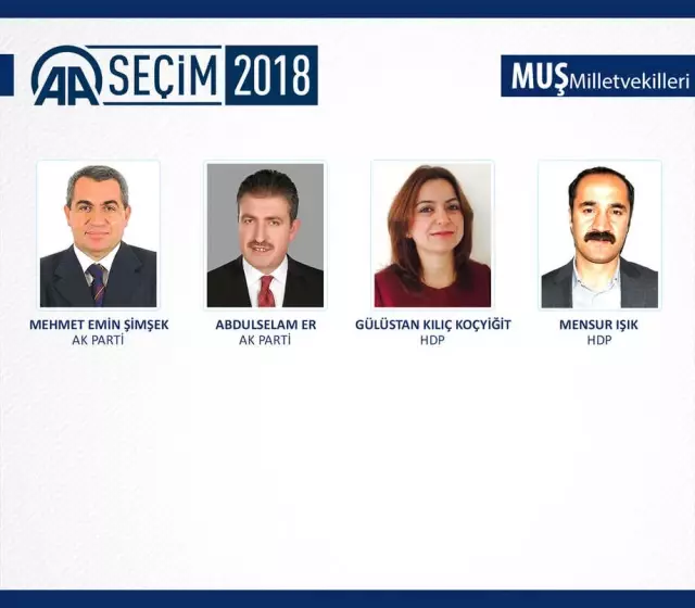 Milletvekili Genel Seçimi Milletvekili Genel Seçimi