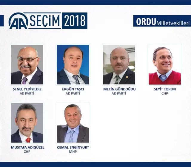 Milletvekili Genel Seçimi Milletvekili Genel Seçimi